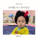 마지막 포토덤프 19개월 아기 육아일상
