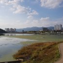 선화금속