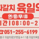 자갈치육일약국 이미지