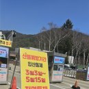 월정사 화장실 | 월정사 전나무숲길 아이와 함께 | 유아·초등학생 입장료·주차 완벽 정리