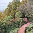 하늘산방 이미지