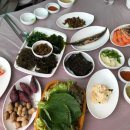 대본3리 | 감포 맛집 , 은아회타운을 소개합니다