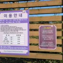 바보주유소 | 스프링 피버 1-2회 후기 : 안보현과 이주빈 혐관 로맨스 시작(ft. 상세 줄거리, 원작 비교)