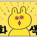 풍촌