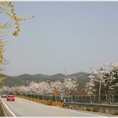 당진가스충전소 이미지