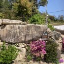 해마루힐링숲민박 이미지