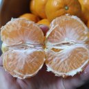 홍순농장 이미지