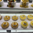 스러움 농장 이미지