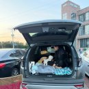 롯데리아부산정관점 이미지