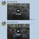 꽃피는견생 인천애견유치원 이미지