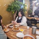 금금수수 이미지