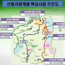 산림개발 이미지