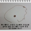 골드수선 이미지