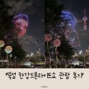 뚝섬한강공원-66 | [서울 뚝섬] "한강드론라이트쇼 2025" 주차꿀팁 명당자리 추천 아이와 가볼만한 곳