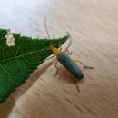 탑골생태공원 화장실 이미지