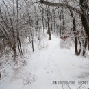 제 162차 정기산행 충북 영동 민주지산(1241.7M)눈산행 이미지