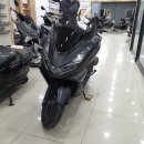 빈스 모터스 이미지