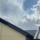 (유)하이큐마트 | [일본 워홀] D+68-79 | 친구랑 함께하는 워홀이란