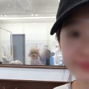 말숑말숑 네이버블로그