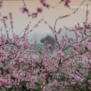 가나안방문요양센터 | 의정부요양원 가나안방문요양지원센타 신뢰할 수 있는 요양시설