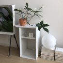 원목 | 원목 침대 옆 협탁 월넛 후기 | 침실 인테리어 추천템