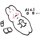 몽슈슈 강아지 이미지