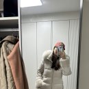 호돌이정육점 이미지