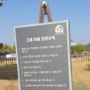 삼성현역사문화공원 티스토리