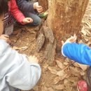 기흥삼성어린이집 이미지