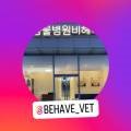 동물병원 비헤이브 이미지