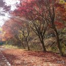 우리집은 헬스장 이용 안하는데…비싼 관리비 왜 내야 하나요 이미지