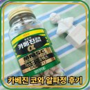 카베진 카와 알파 위장약 40대 주부 후기