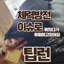 야호 | [선상낚시] 백야호 후기 2탄 제주 심해갑오징어 출조 + 팁런 튄 썰 품