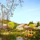 동문빌딩 앞 이미지