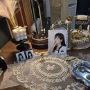 아이러브펫동물병원 은평점 | 연신내 증명사진 &amp; 프로필사진 잘 찍는 곳! 은평구 모먼트랩 스튜디오 방문 후기