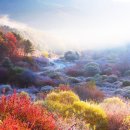비밀의정원 이미지