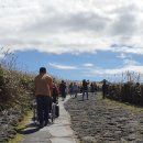 제주특별자치도지체장애인협회 서귀포시지회 이미지