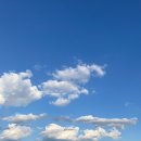 뽑고 더블로 가 이미지