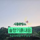 솔향기흙내음 이미지