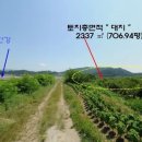 여주-0724 Daum카페