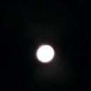 달 Daum카페