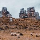 대한PC방 이미지