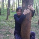 이목중학교 이미지