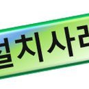 삼성부동산공인중개사무소 이미지