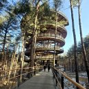 눈꽃여행 | 겨울대표축제 태백산눈꽃축제 여행후기 볼거리 코스 팁 총정리