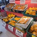 드림디포 (광산점) 이미지