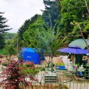 축령산농장 이미지