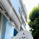 오늘뿐이개 이미지