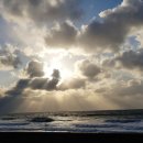 농업회사법인 주식회사 담채원 이미지