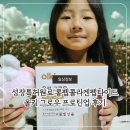 성장특허원료 롱펩콜라겐펩타이드 올키 그로우 프로틴업 후기
